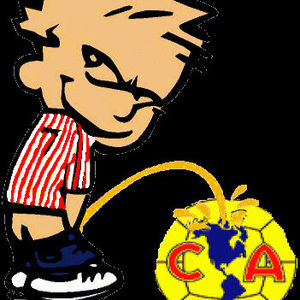 Meet your Posher, Gilberto